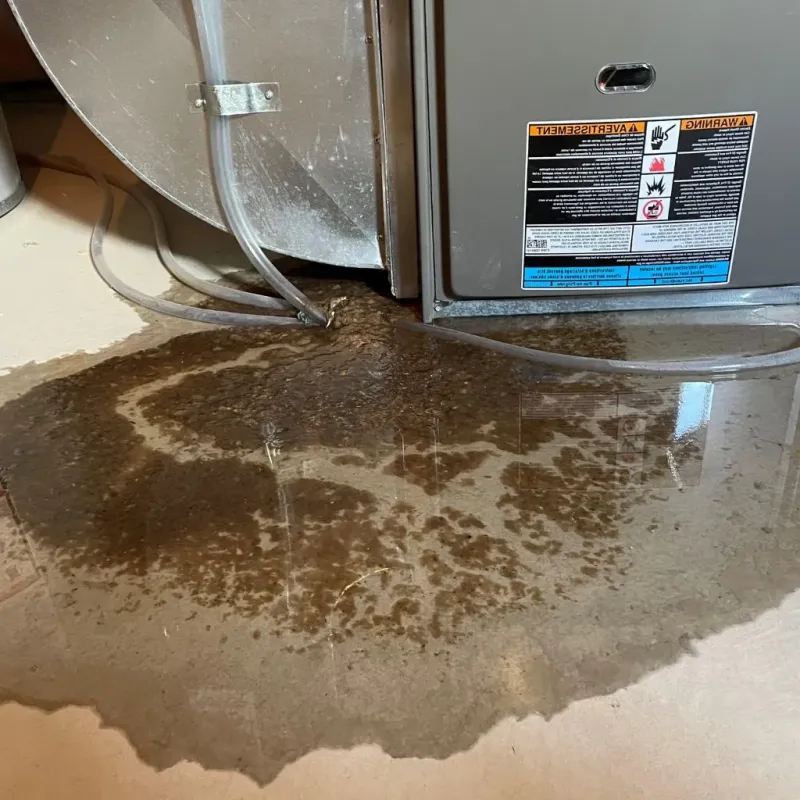 Pipe Burst and Leak Restoration in Oakhurst, OK